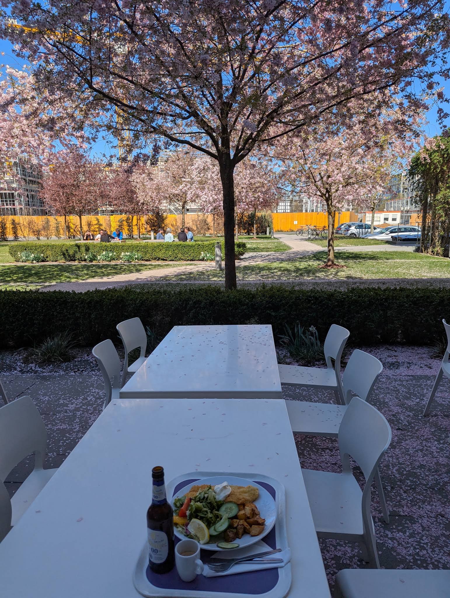 Bistro Minerva